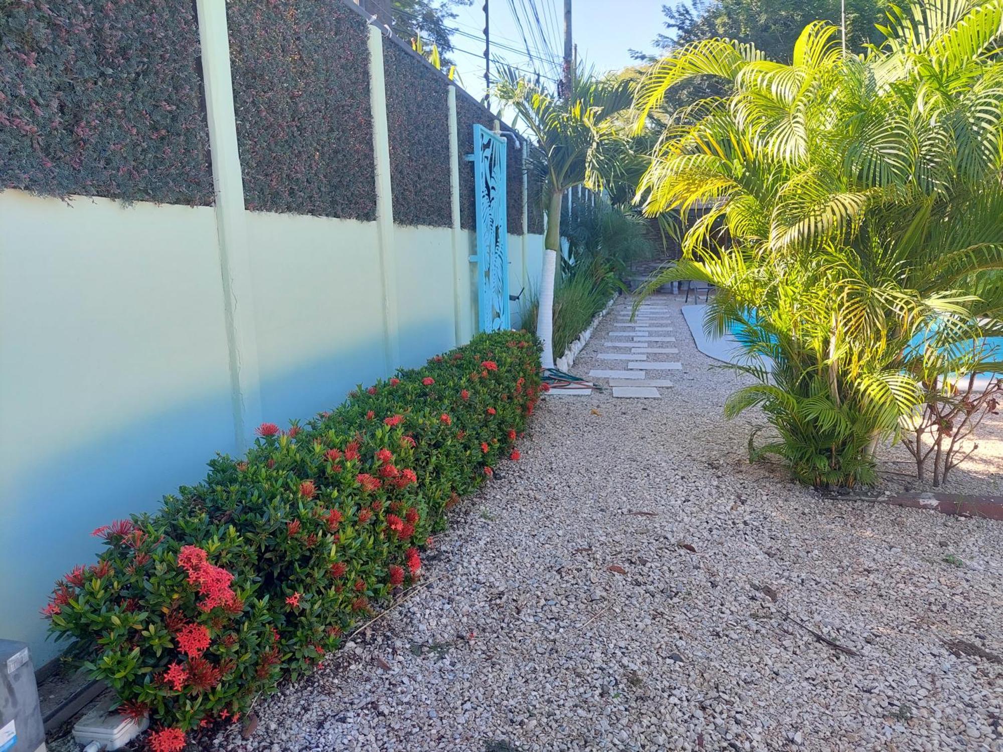 Hotel Carlota Tamarindo Esterno foto